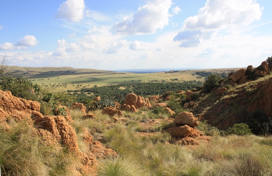 Magaliesberg Biosphere Reserve